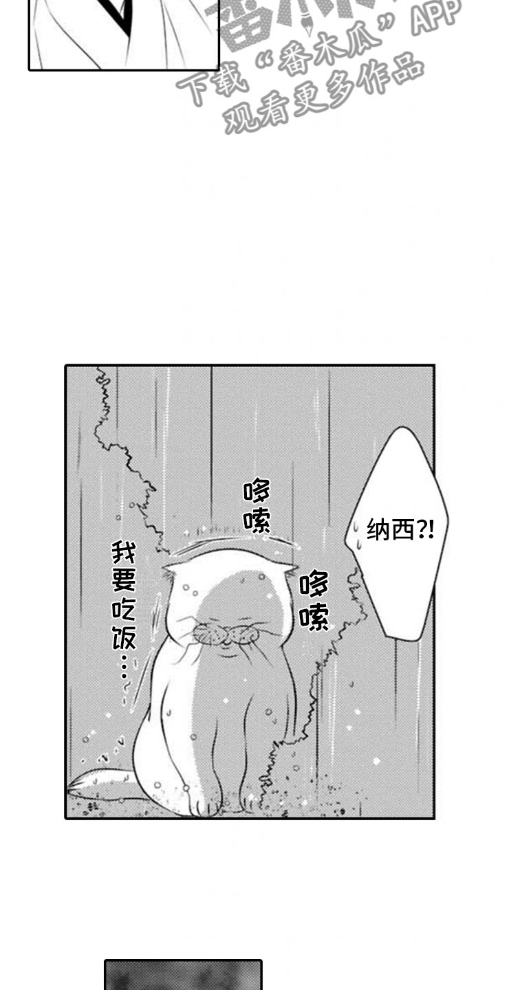 第19章：雷雨11