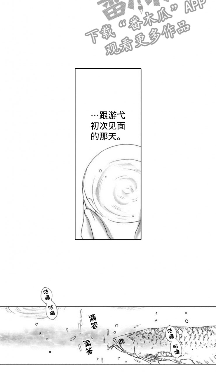 第9章：前菜16