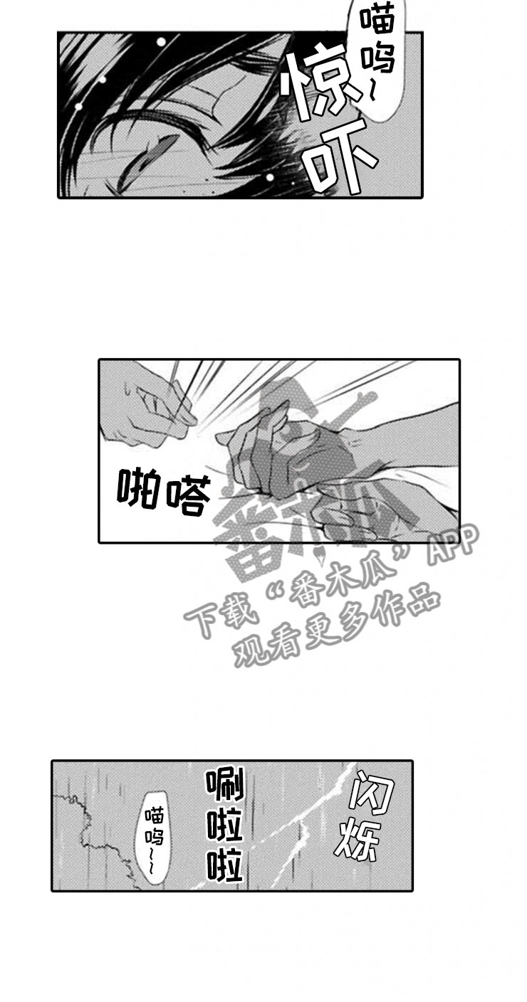 第19章：雷雨9