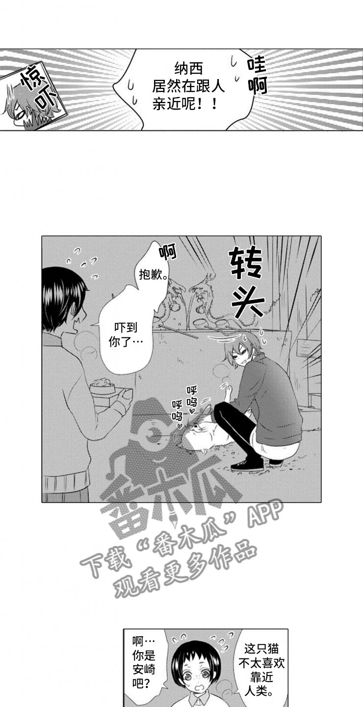 第12章：拥抱0
