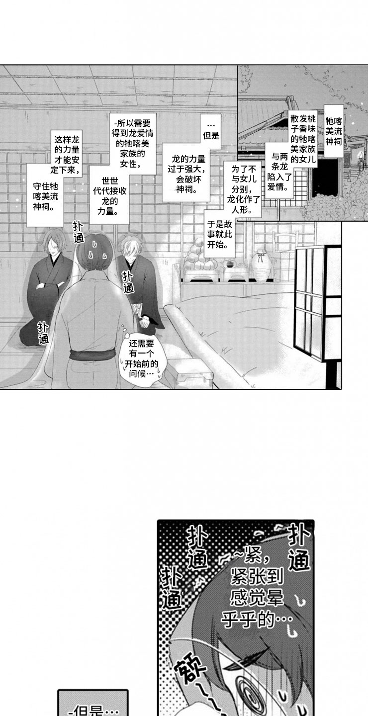 第1章：两只龙10