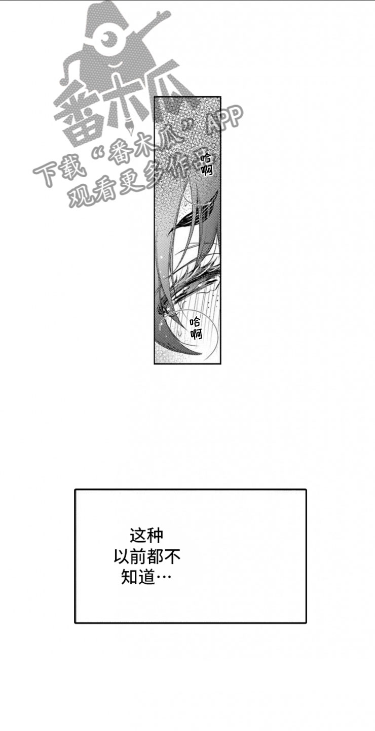 第9章：前菜3