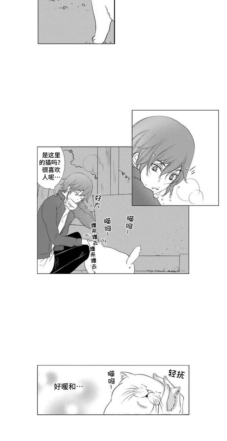 第11章：寄生17