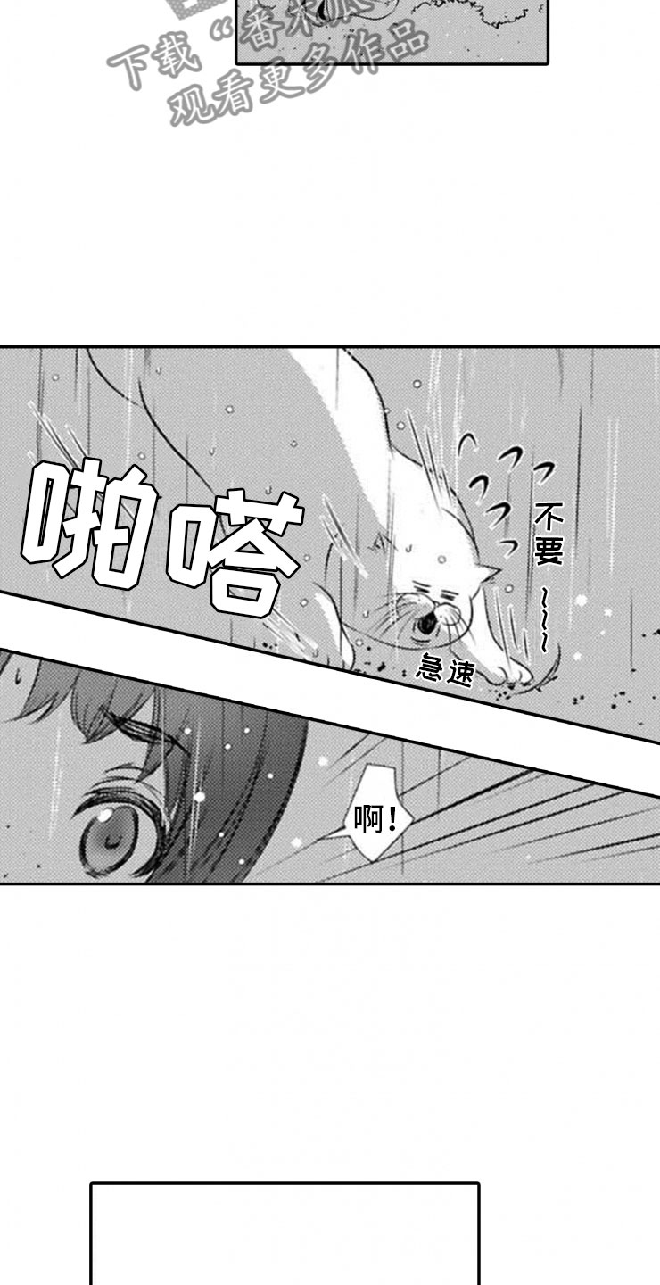 第19章：雷雨15