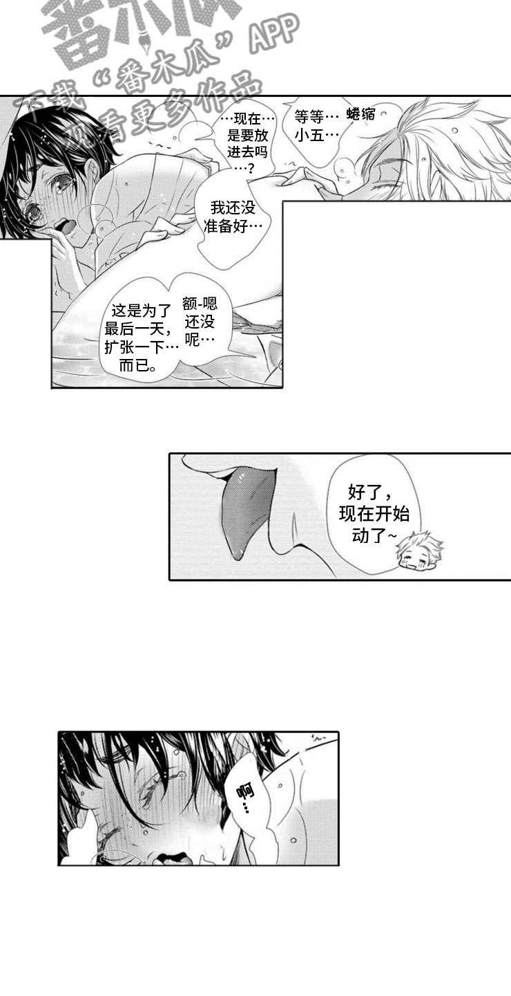 第16章：进阶12