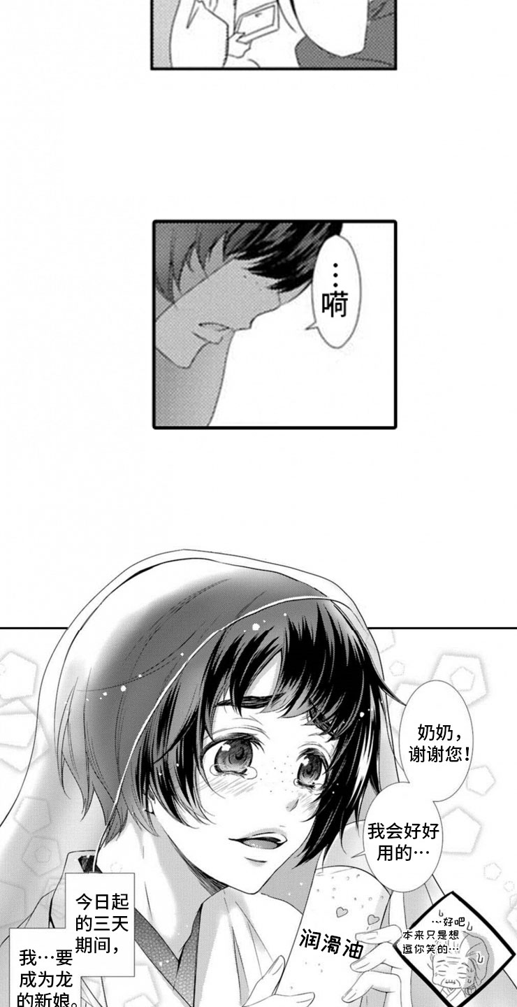 第1章：两只龙5