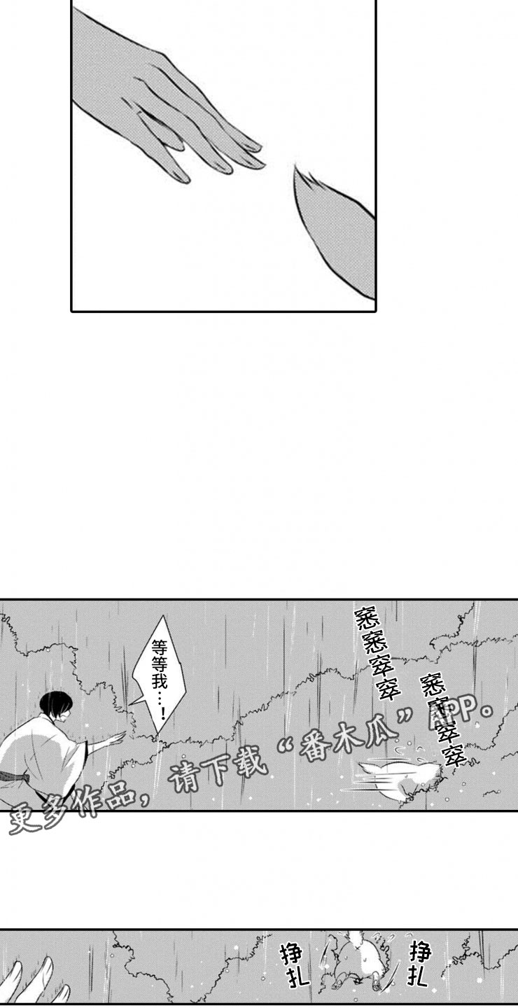 第19章：雷雨16