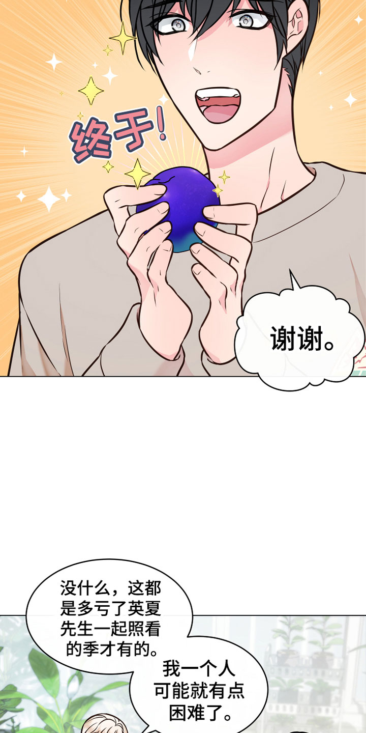 第5章：果实6