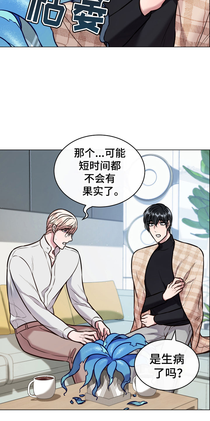 第13章：心意4