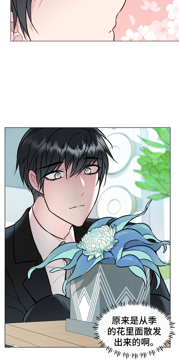 第2章：奇异植物17