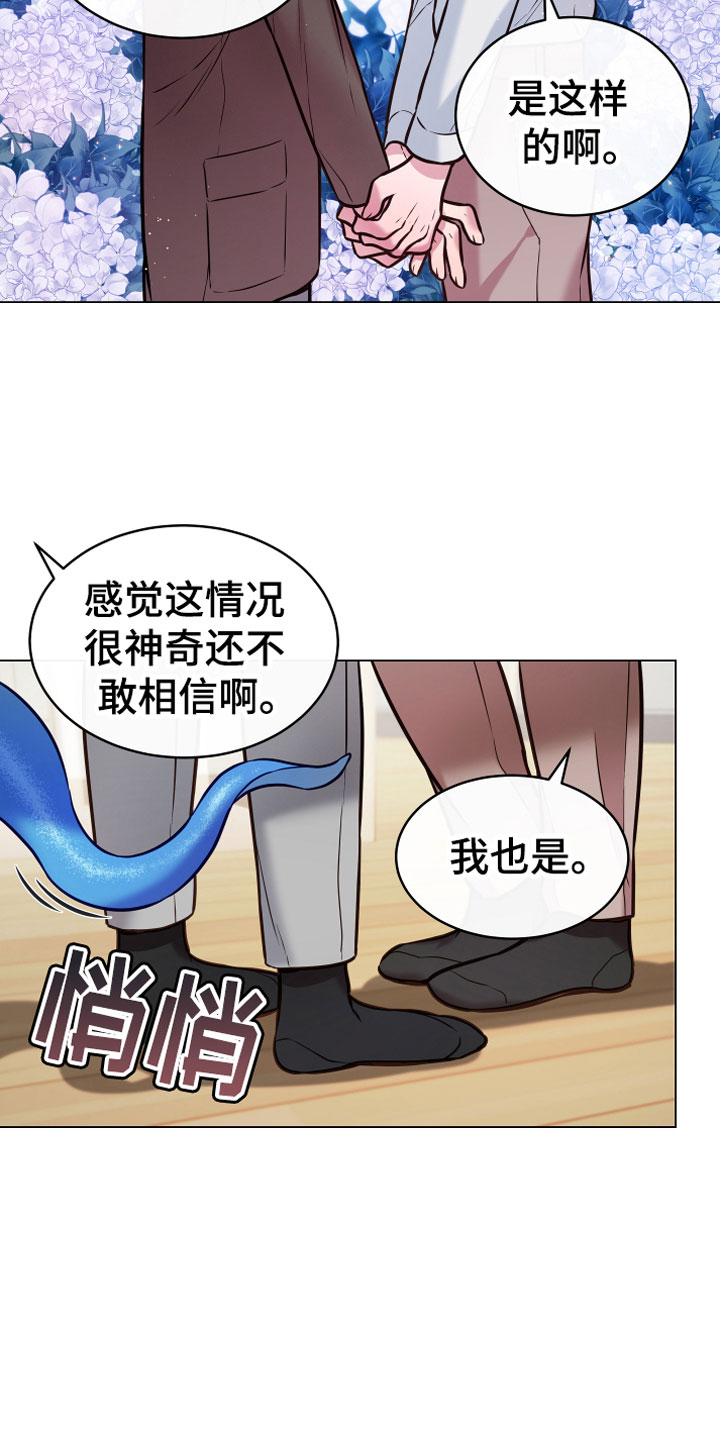 第14章：满足6