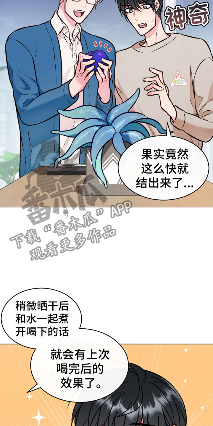 第5章：果实5
