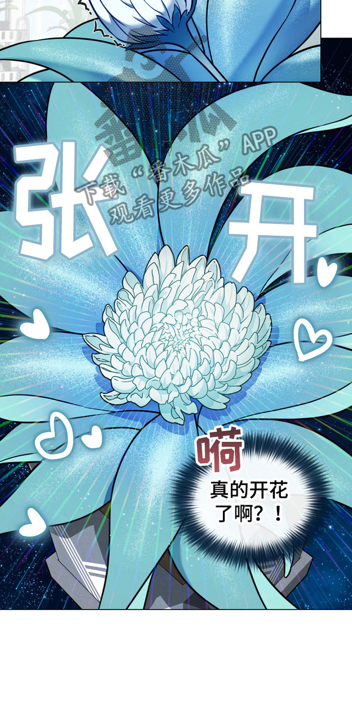 第9章：开花13