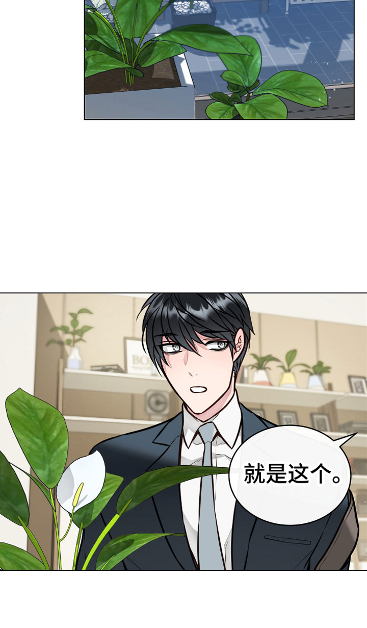 第2章：奇异植物12