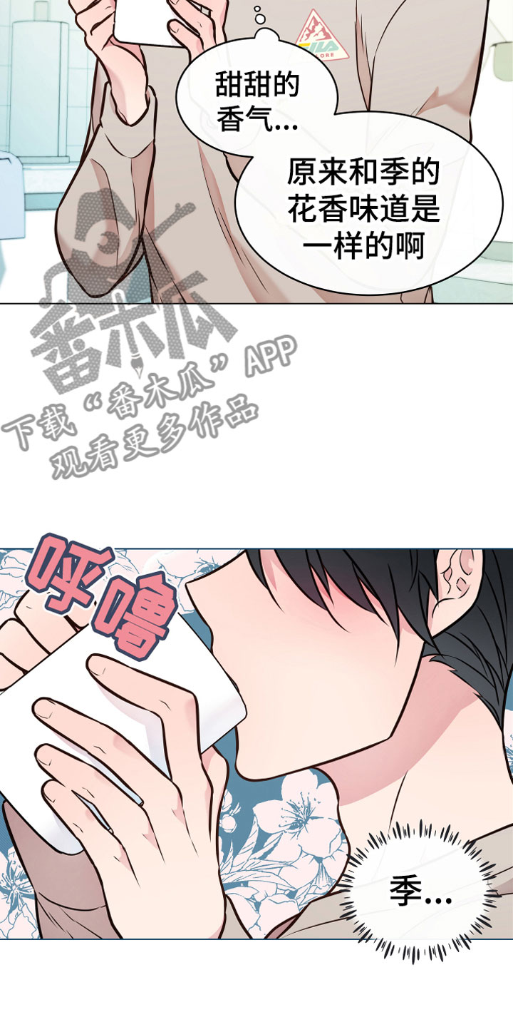 第5章：果实17