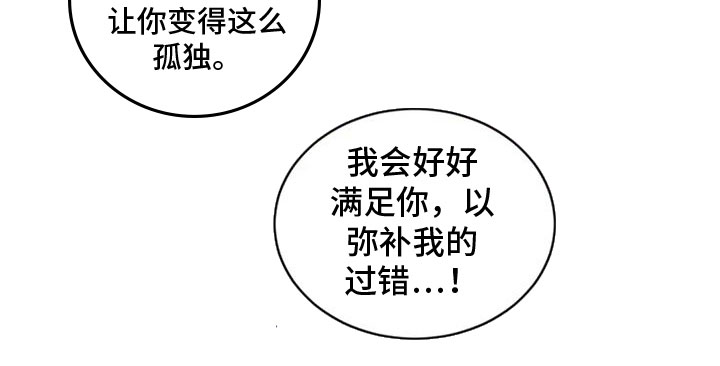 第21章：弥补过错19