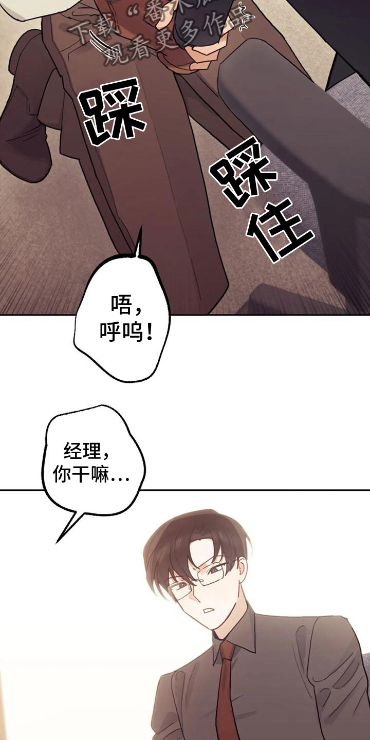 第12章：罪魁祸首14