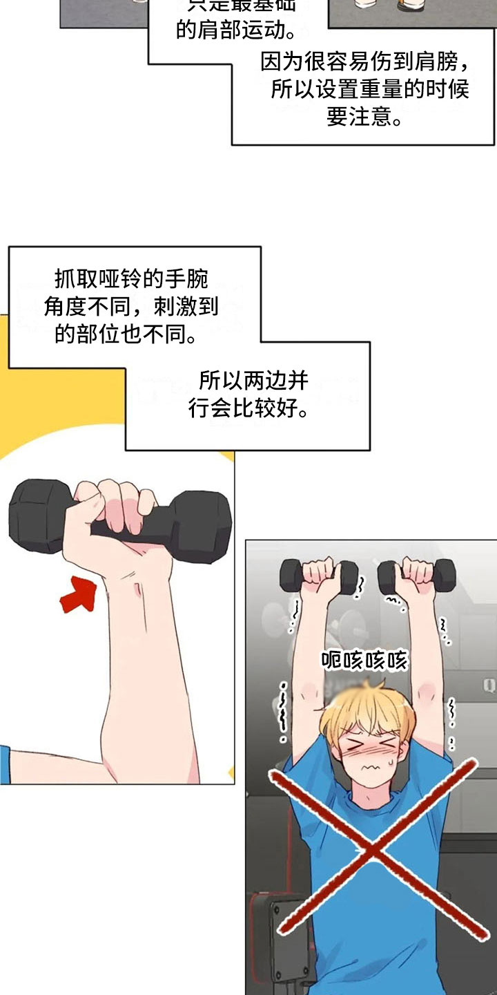 第16章：背部运动5