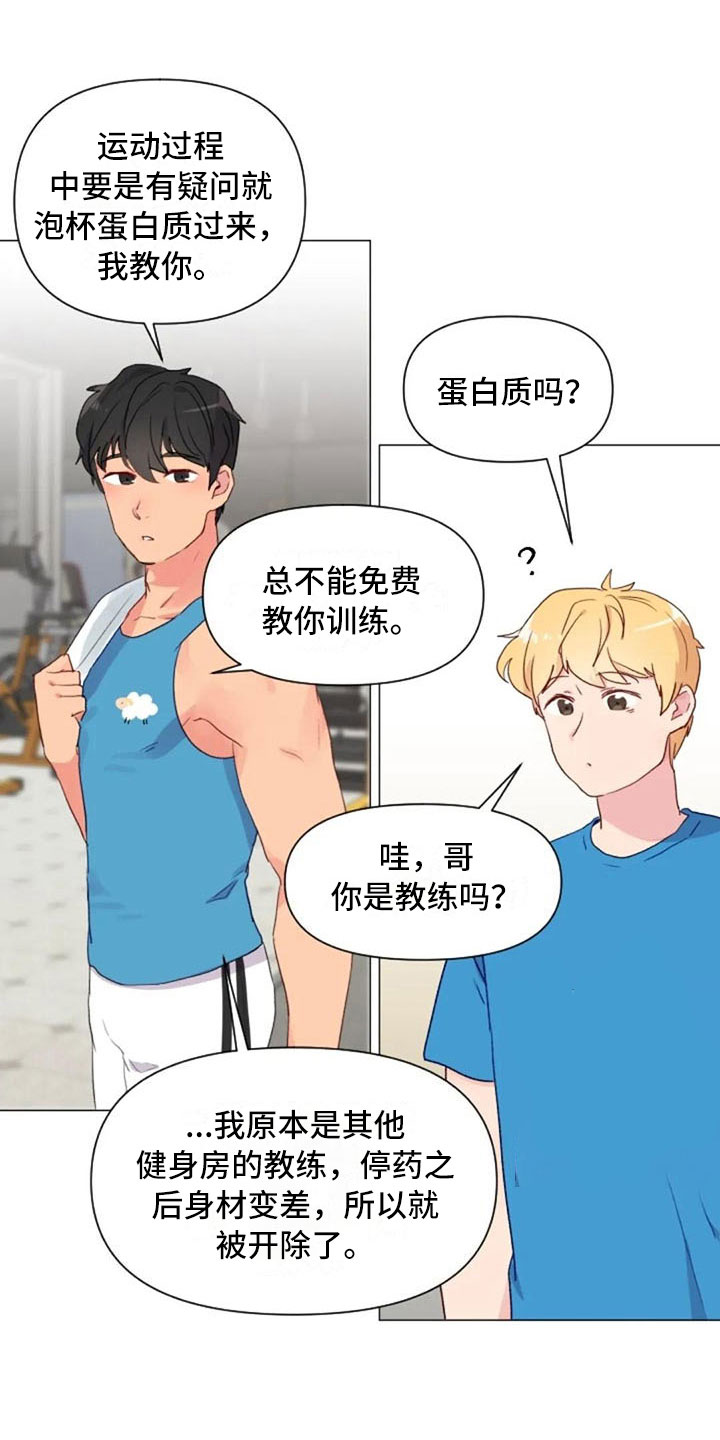 第16章：背部运动18