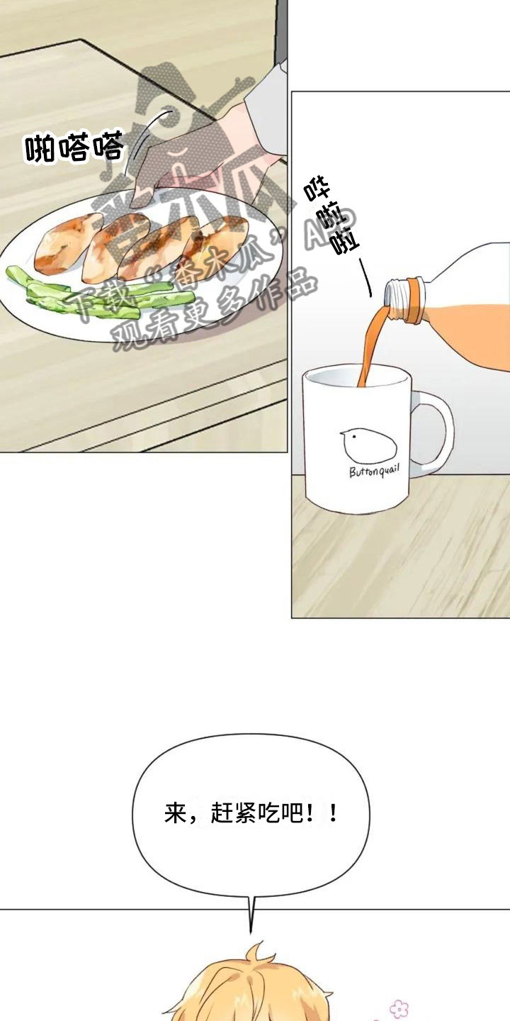 第9章：减肥邀请17