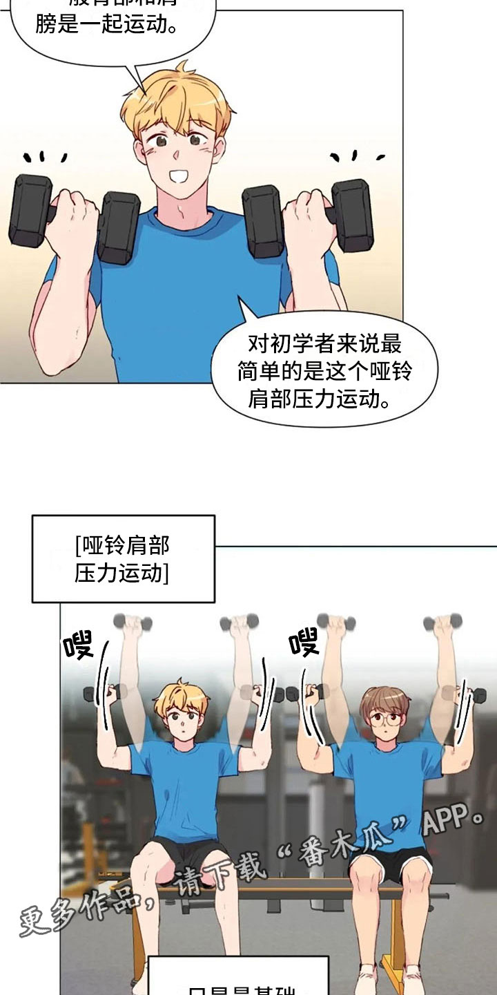 第16章：背部运动4