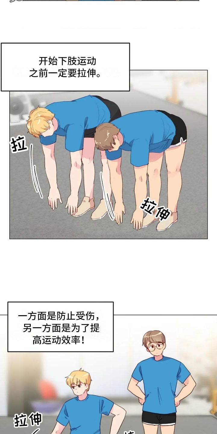 第23章：下肢运动17