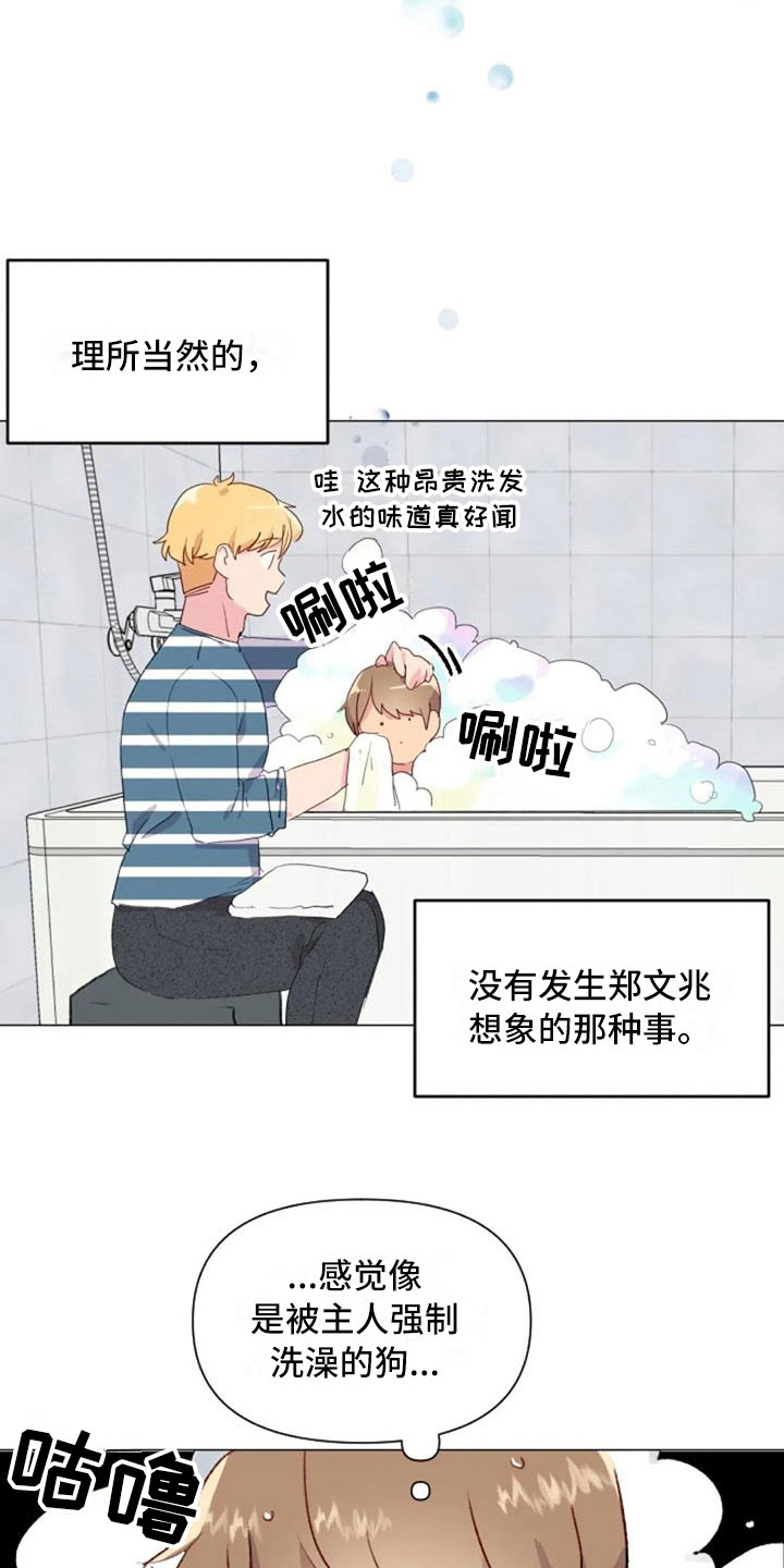 第24章：运动副作用13