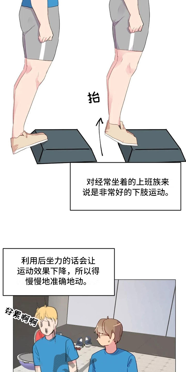 第23章：下肢运动23