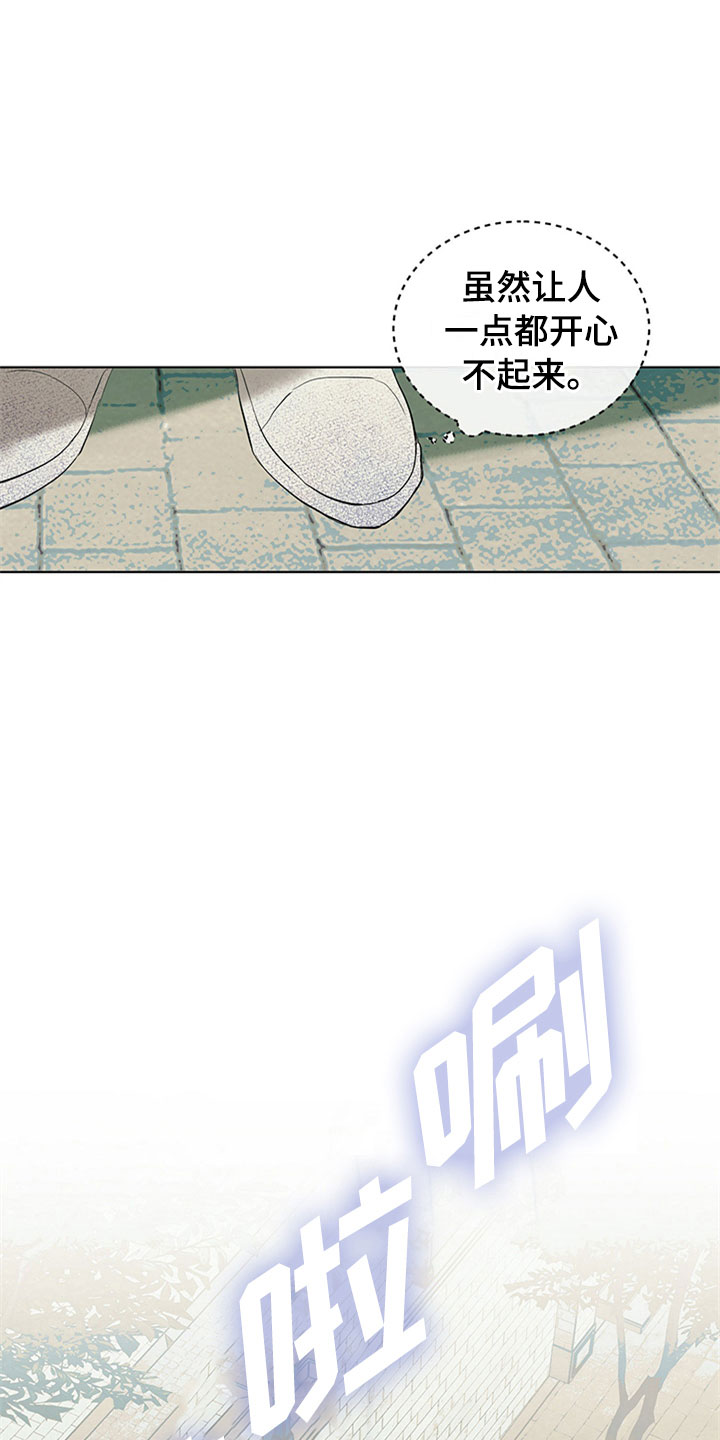 第31章：新古董伙伴：调查问卷17