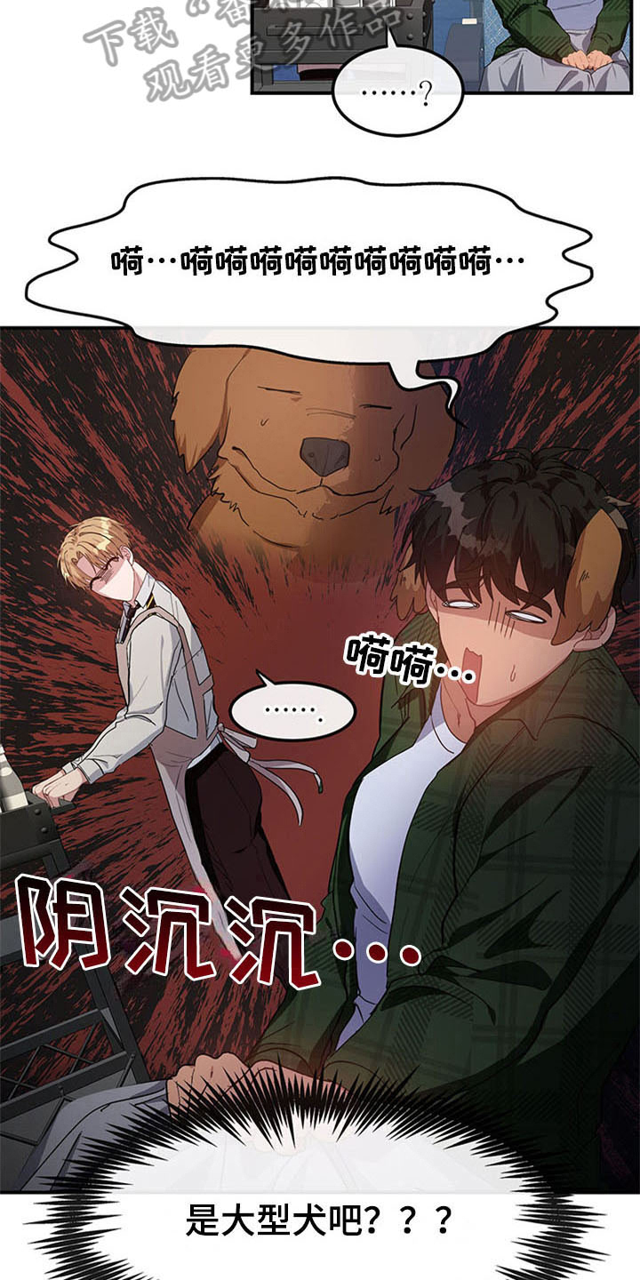 第21章：空乘服务：认出6