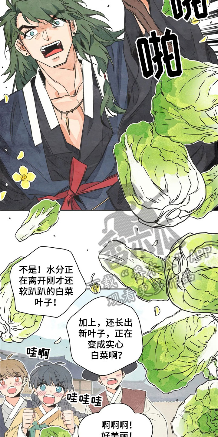 第35章：萝卜与白菜：泡菜神8