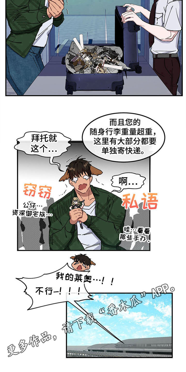 第16章：空乘服务：旅行准备14