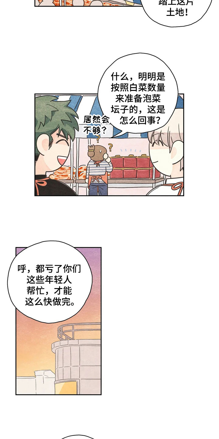第38章：萝卜与白菜：丰收14