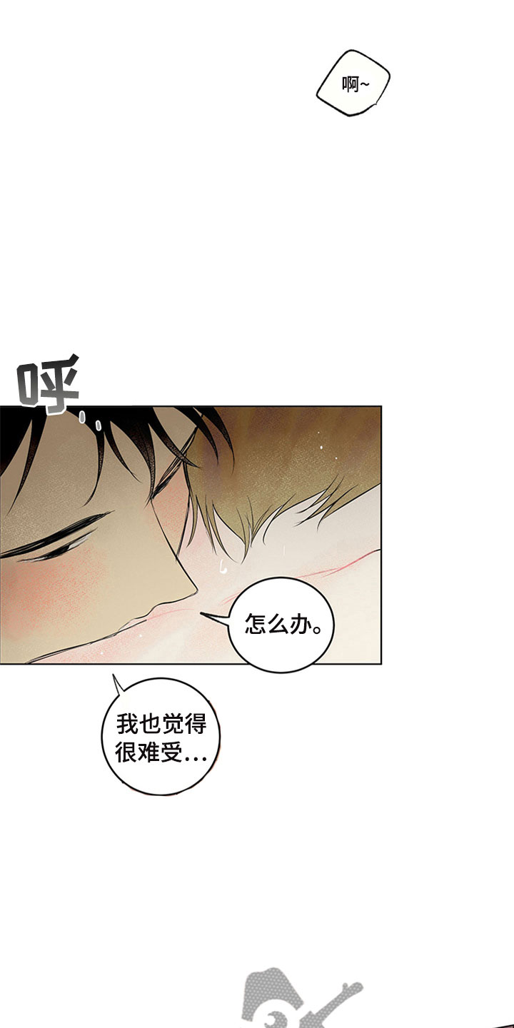 第34章：新古董伙伴：一直继续12