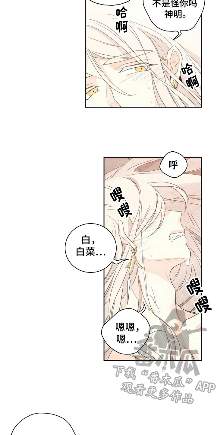 第38章：萝卜与白菜：丰收4