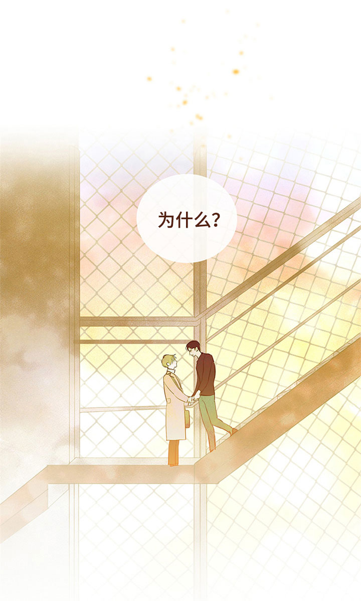 第30章：新古董伙伴：更进一步23