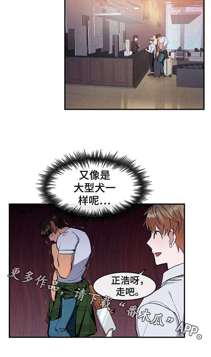 第23章：空乘服务：极限19