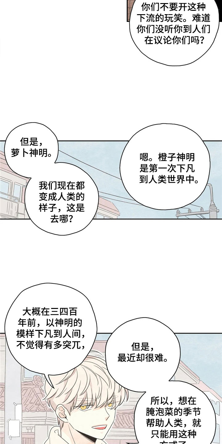 第38章：萝卜与白菜：丰收11