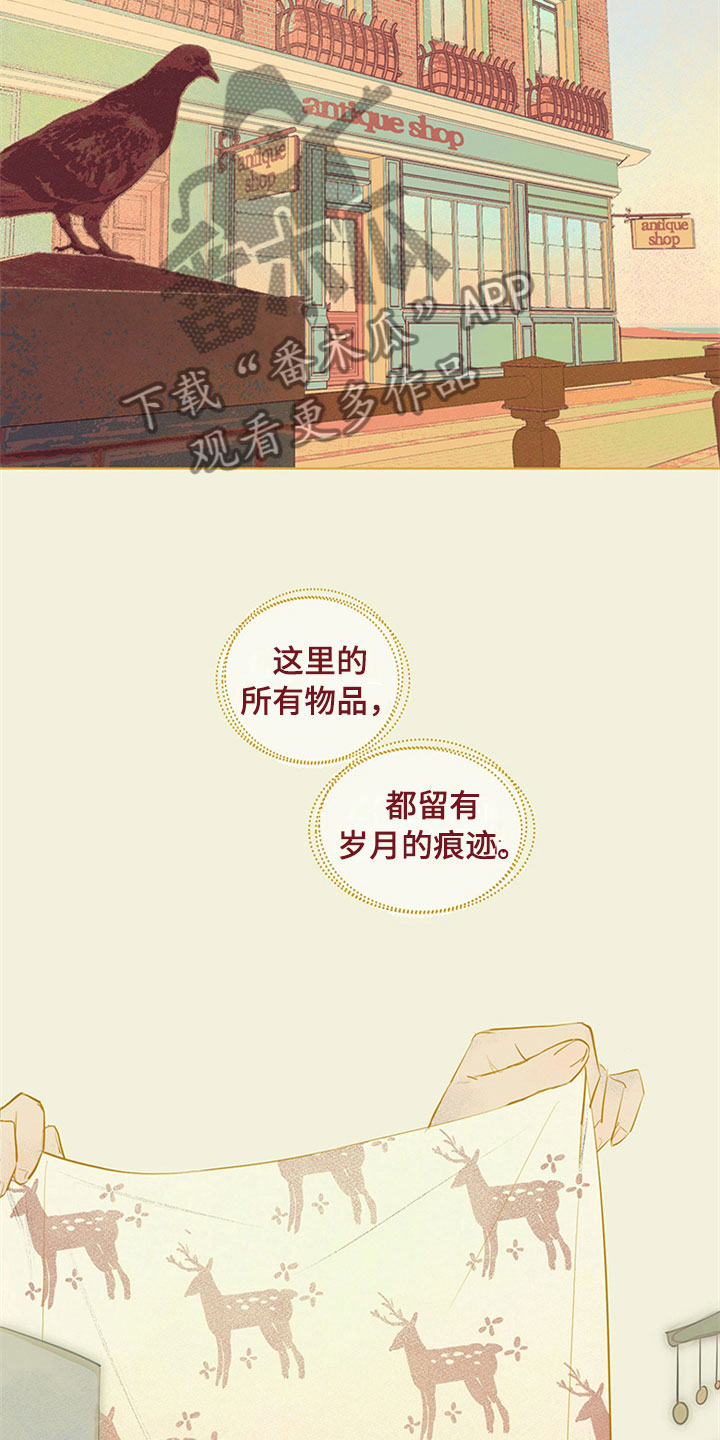 第27章：新古董伙伴：随机搭档旅行20