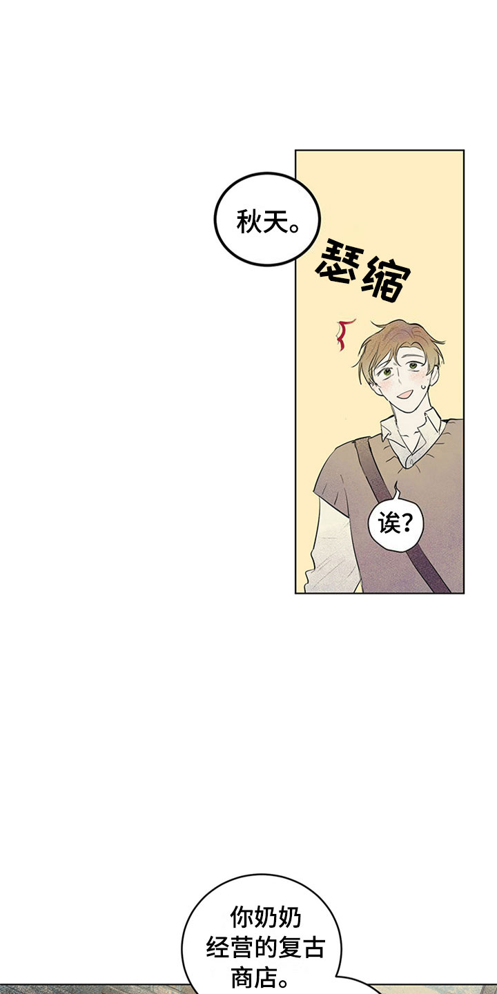 第31章：新古董伙伴：调查问卷21