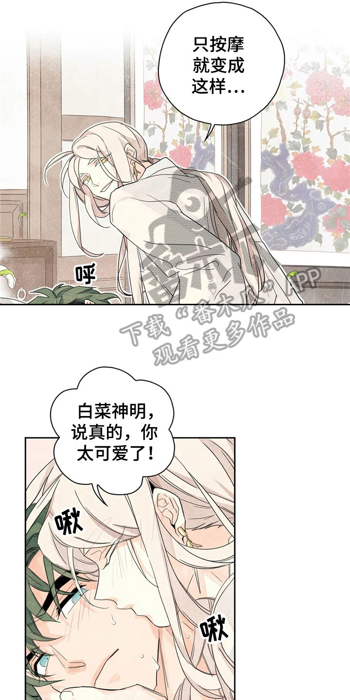 第36章：萝卜与白菜：等待13