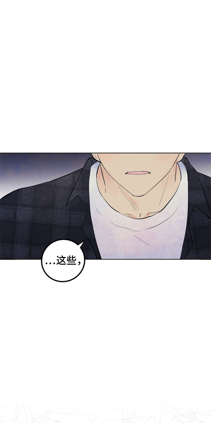 第33章：新古董伙伴：误会9