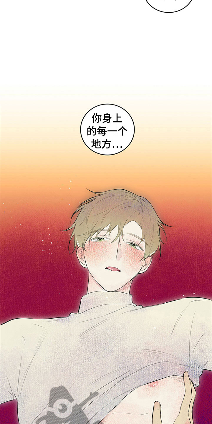 第31章：新古董伙伴：调查问卷2