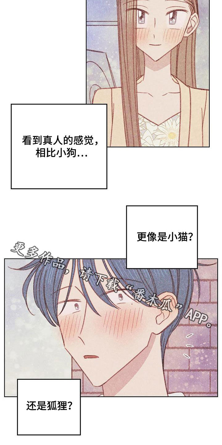 第16章：碰面19