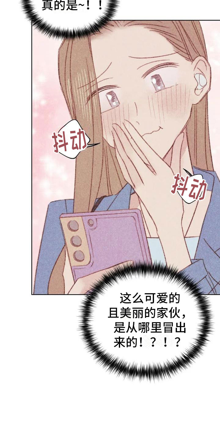 第2章：可爱的家伙5
