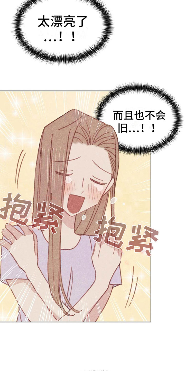 第4章：是个骗子？17