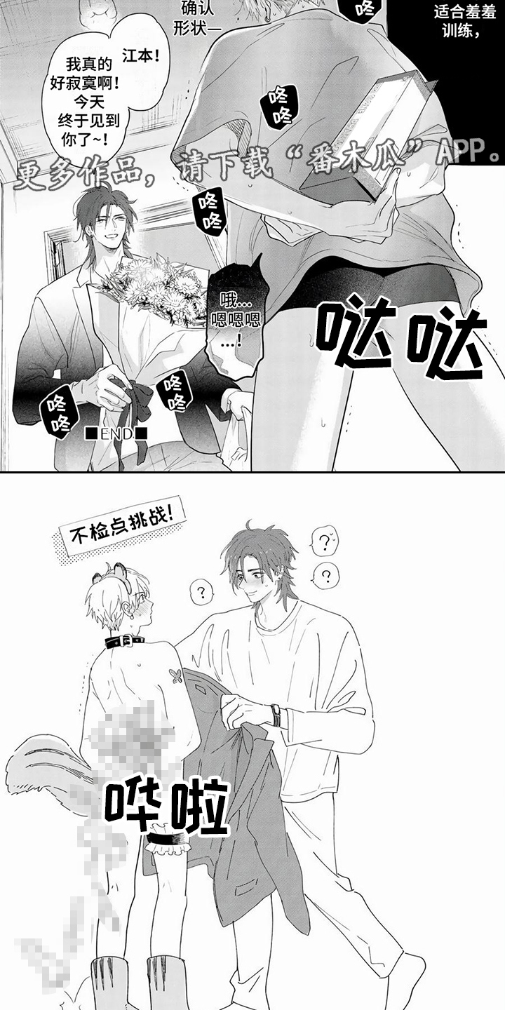 第7章：建议4