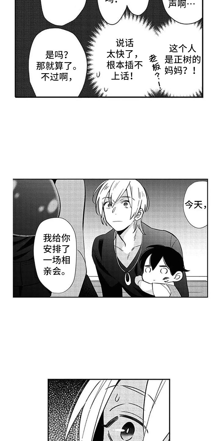 第15章：雷厉风行13