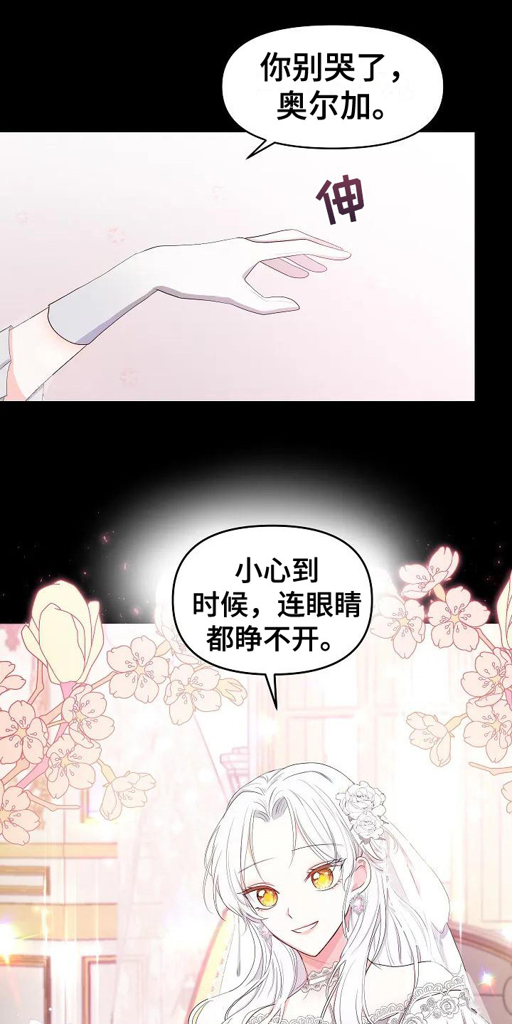 第2章：政治联姻18