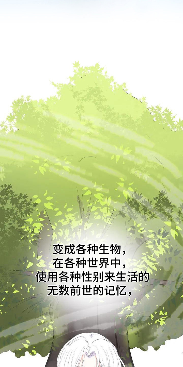 第5章：轮回5